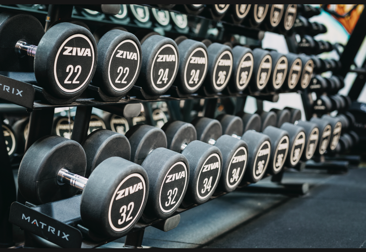 Fitness experience sales